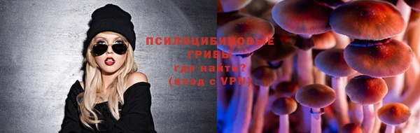 spice Елизово