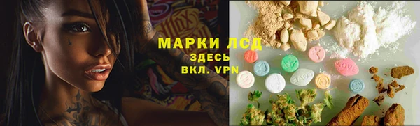 трава Ельня