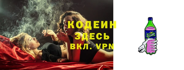 трава Ельня