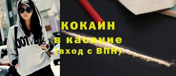 трава Ельня
