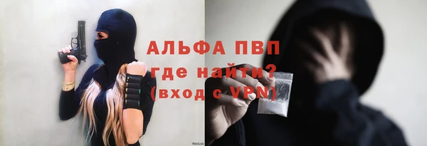 трава Ельня
