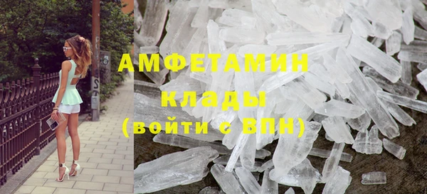 трава Ельня