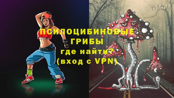 трава Ельня