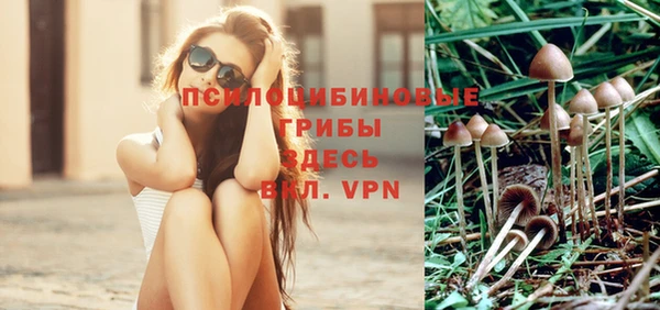 трава Ельня