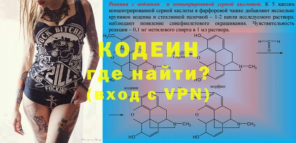 трава Ельня