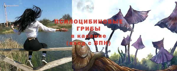 трава Ельня