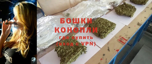 spice Елизово