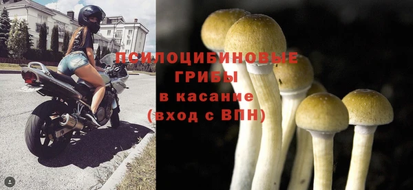 трава Ельня
