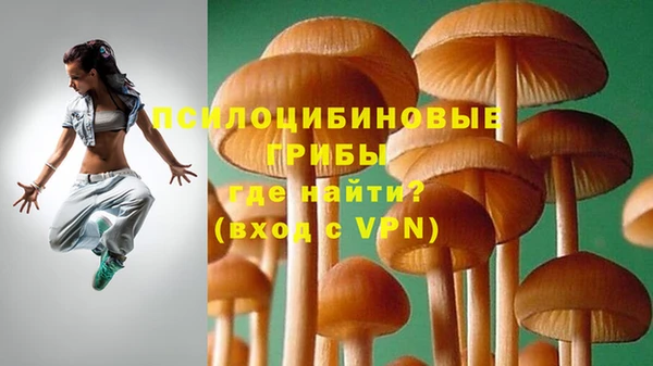 трава Ельня