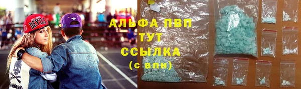 spice Елизово