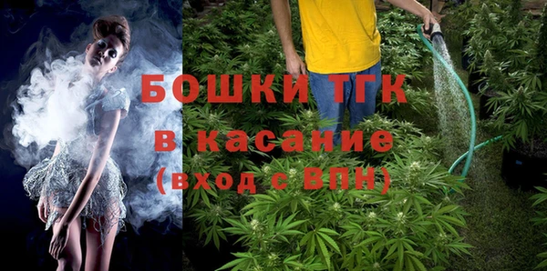 трава Ельня