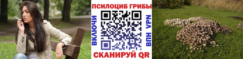 Галлюциногенные грибы прущие грибы  дарнет шоп  Новочеркасск 